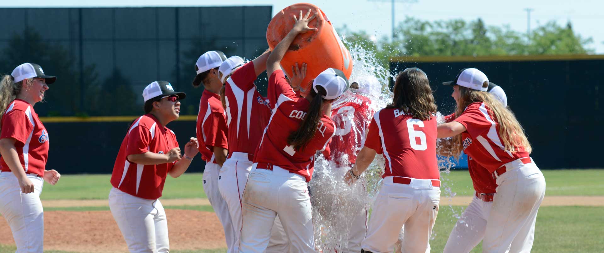 Girls Baseball 